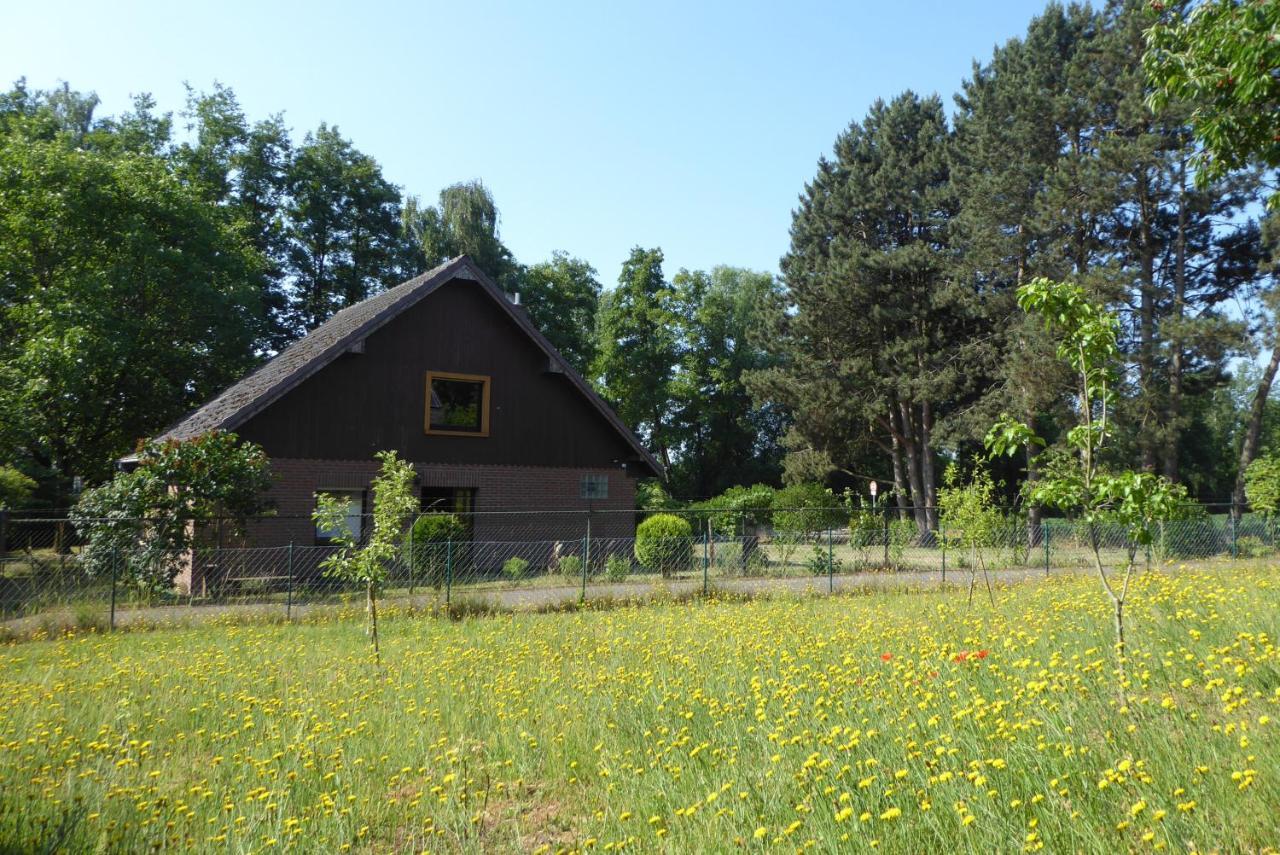 Ferienhaus An Der Borner Muehle Bruggen  Εξωτερικό φωτογραφία